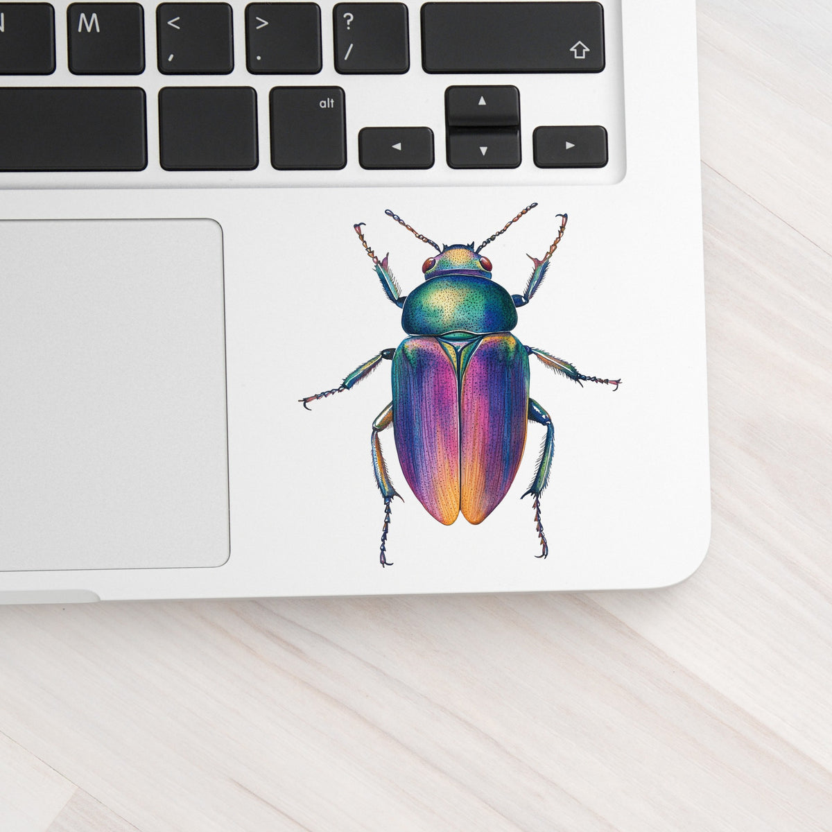 Rainbow Iridescent Beetle UV DTF sticker applied to a silver laptop beside the keyboard