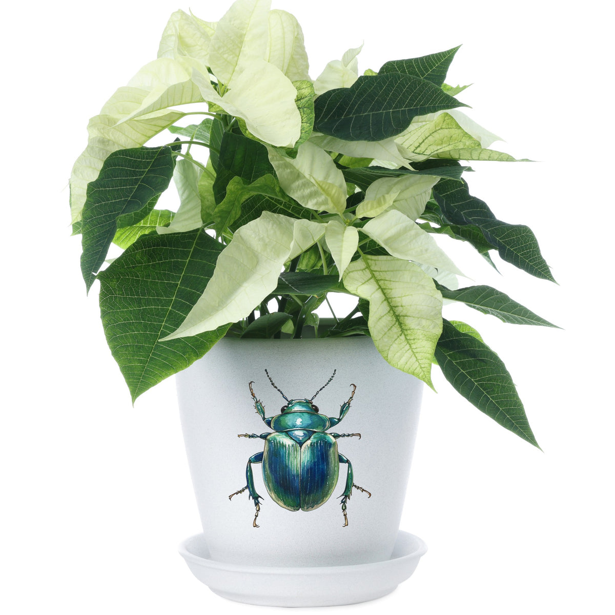 Striped Teal Beetle UV DTF sticker applied to a white flower pot