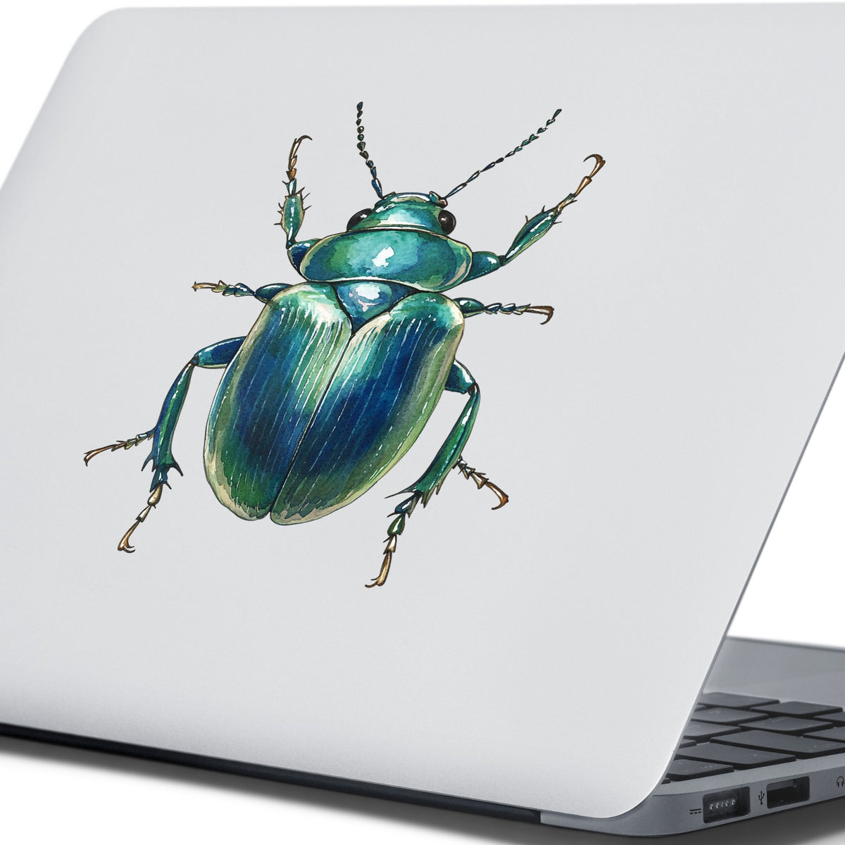 Striped Teal Beetle UV DTF sticker applied to the lid of a silver laptop