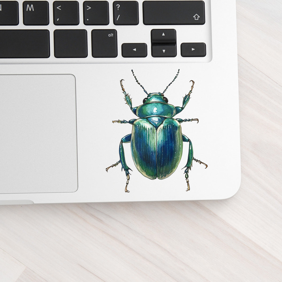 Striped Teal Beetle UV DTF sticker applied to a silver laptop beside the keyboard