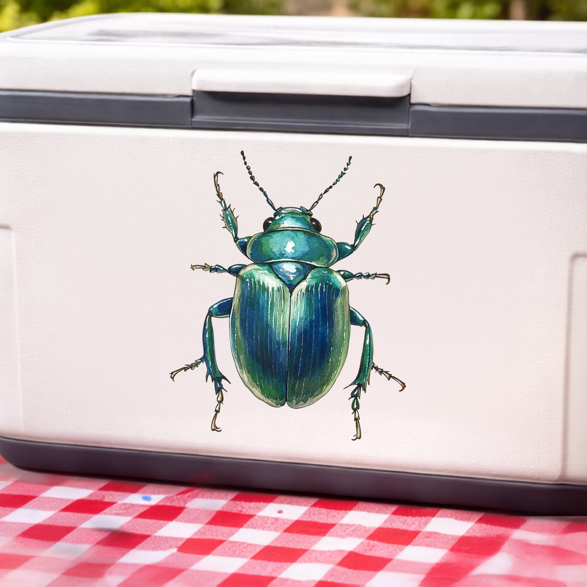 Striped Teal Beetle UV DTF sticker applied to a white cooler on a red gingham cloth
