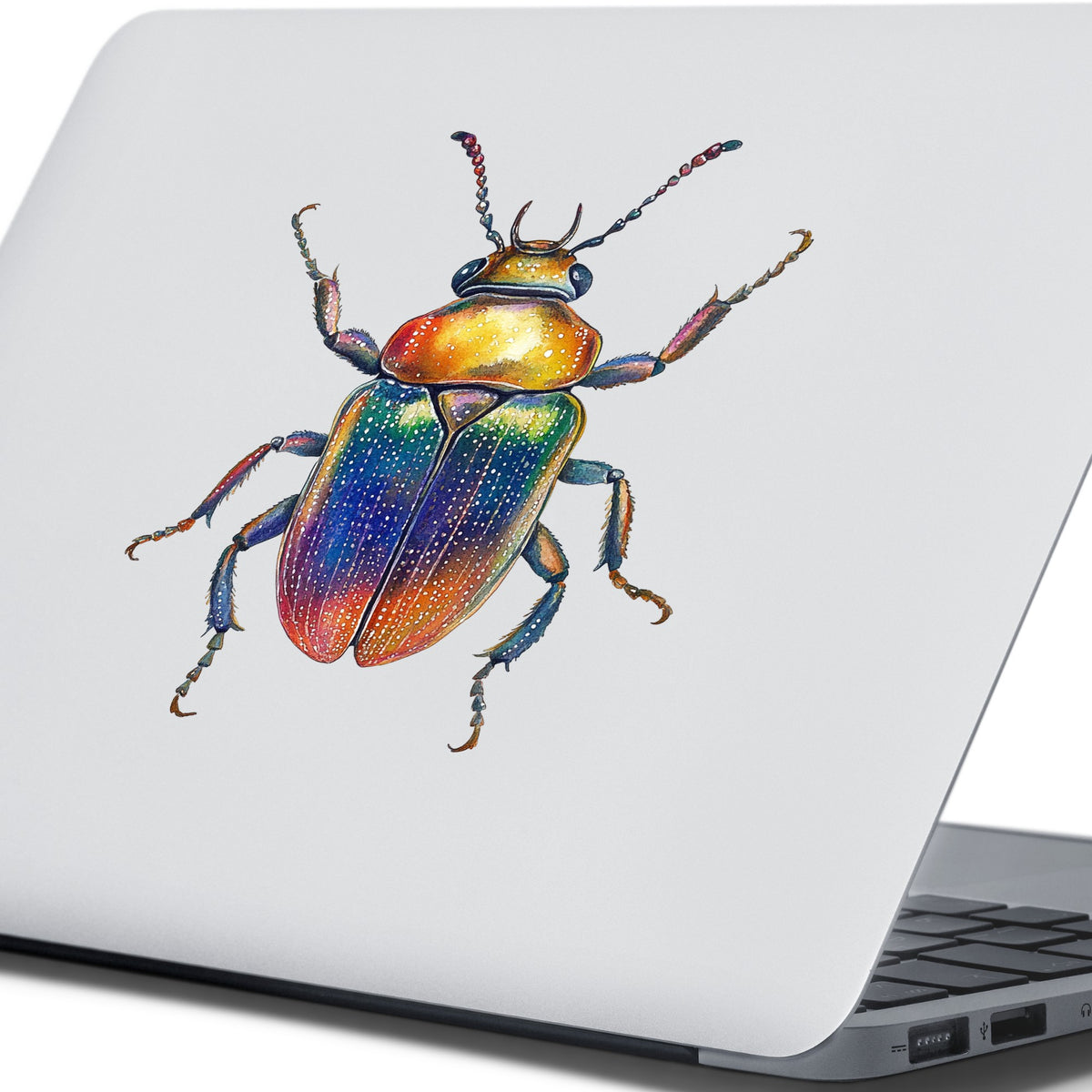 Horned Rainbow Beetle UV DTF sticker applied to the lid of a silver laptop