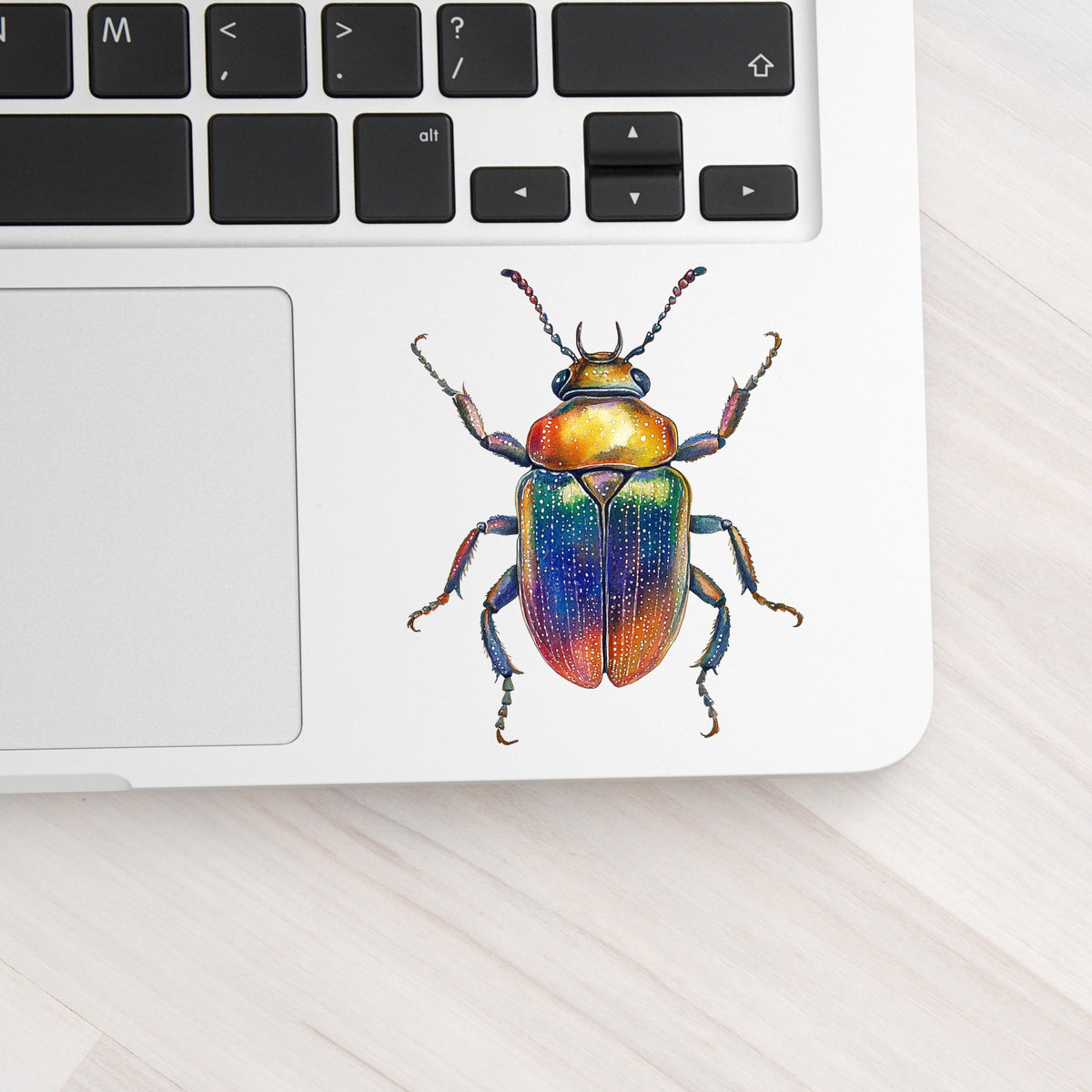 Horned Rainbow Beetle UV DTF sticker applied to a silver laptop beside the keyboard