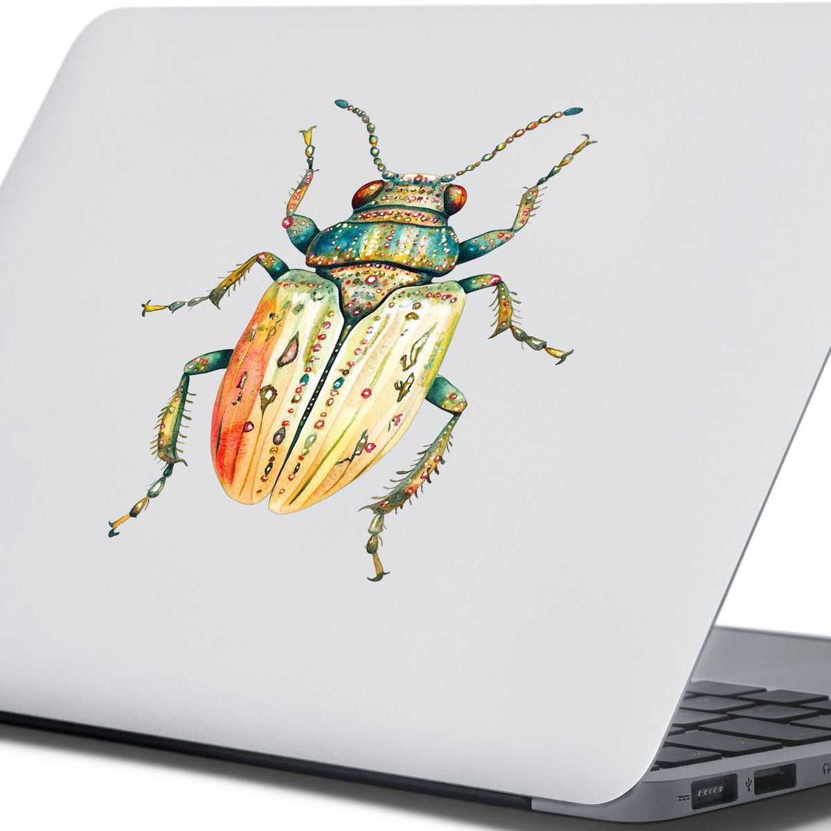 Cream And Coral Jeweled Beetle UV DTF sticker applied to the lid of a silver laptop