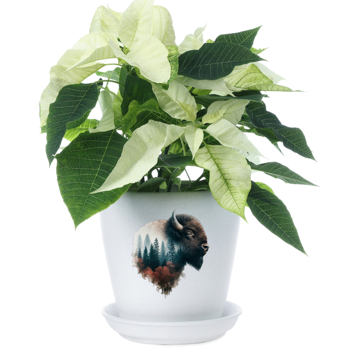 Buffalo Head UV DTF sticker applied to a white flower pot