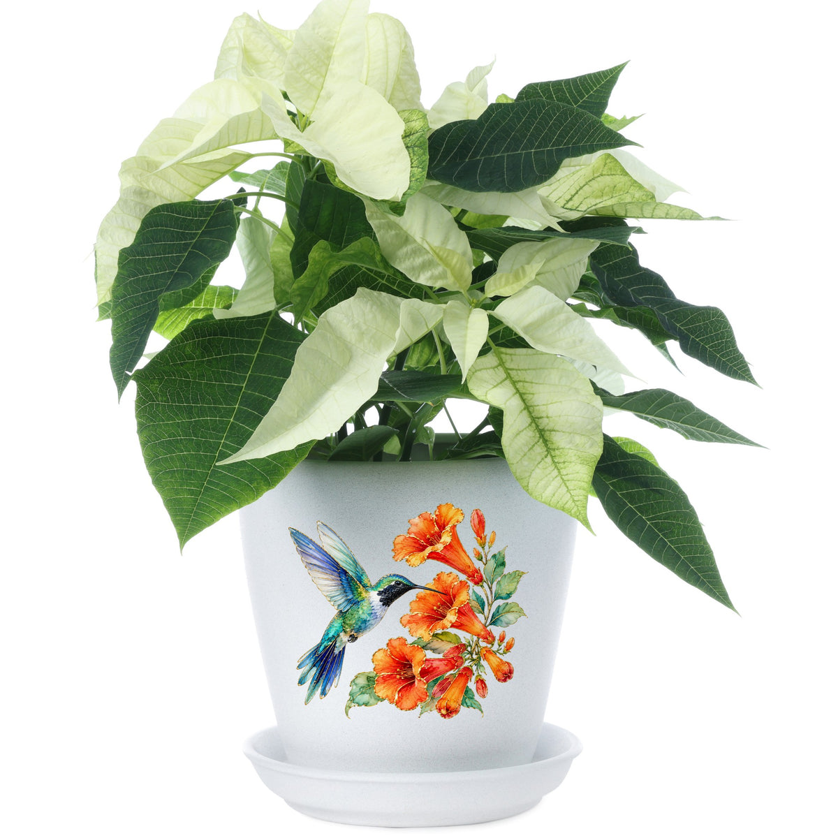 Blue Hummingbird Trumpet Flowers UV DTF sticker applied to a white flower pot