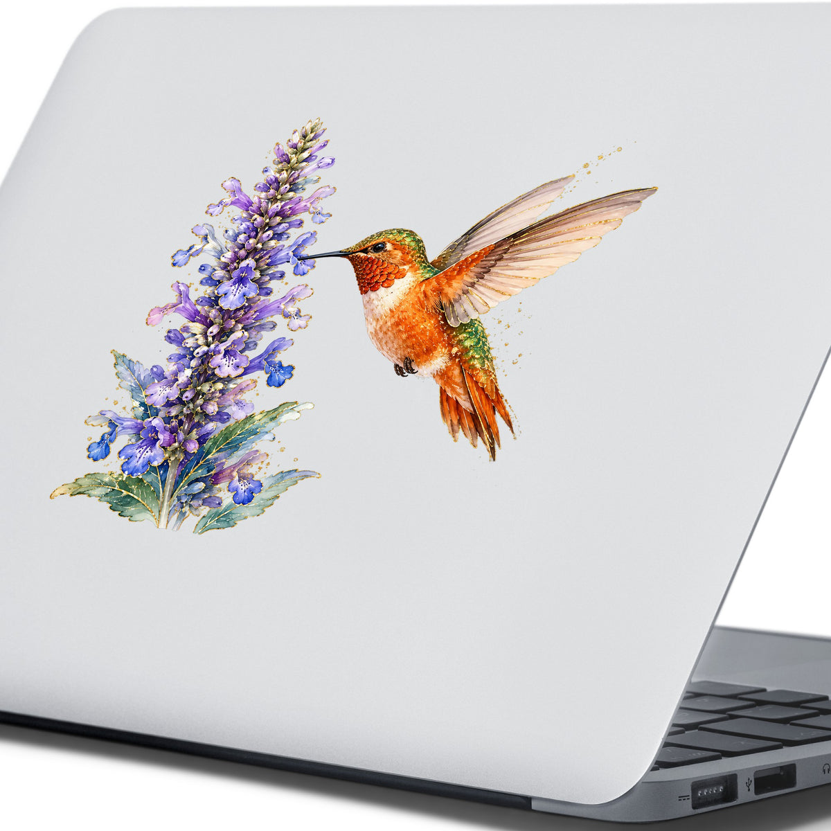 Rufous Hummingbird Purple Flowers UV DTF sticker applied to the lid of a silver laptop