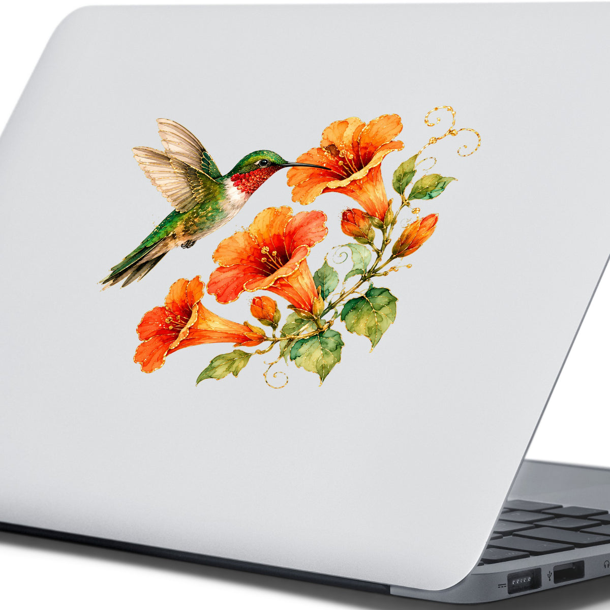 Red Throat Hummingbird Trumpet Flowers UV DTF sticker applied to the lid of a silver laptop