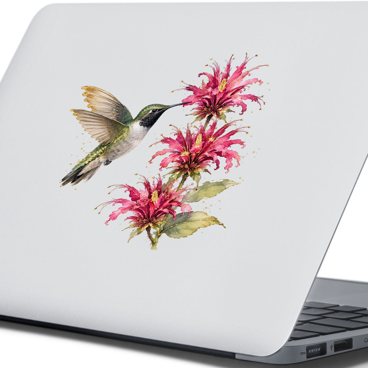 Hummingbird Pink Bee Balm UV DTF sticker applied to the lid of a silver laptop