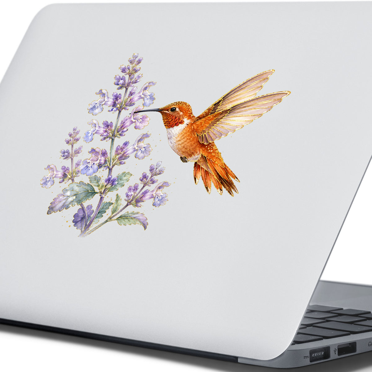 Rufous Hummingbird Lavender UV DTF sticker applied to the lid of a silver laptop