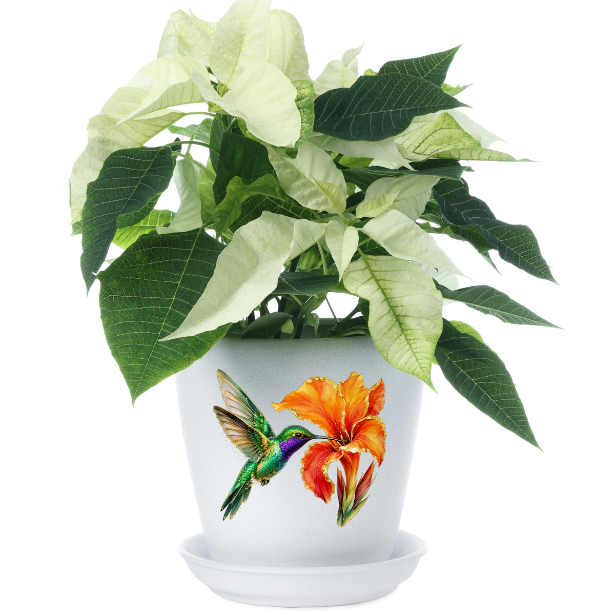 Hummingbird Orange Canna Lily UV DTF sticker applied to a white flower pot