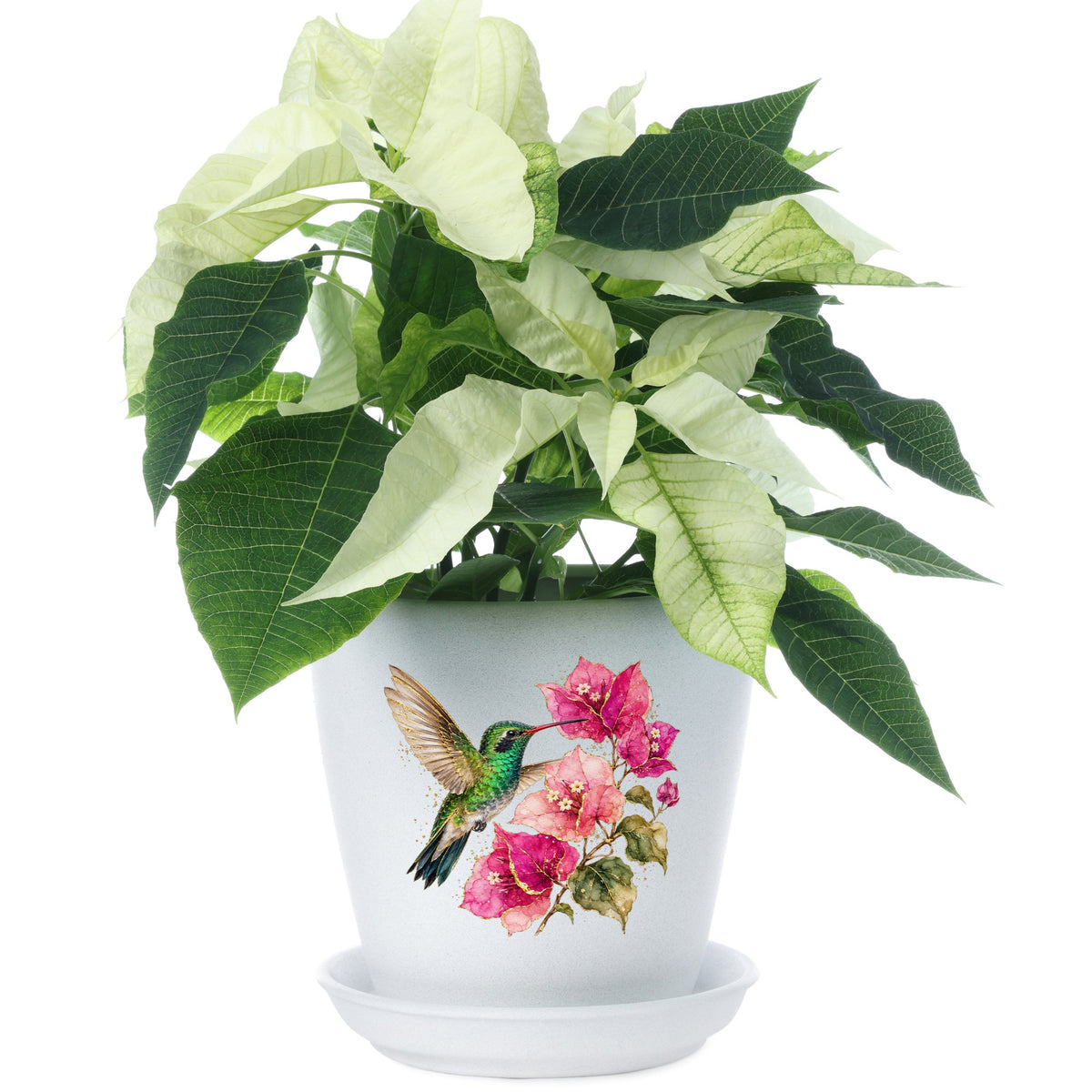 Hummingbird Pink Bougainvillea UV DTF sticker applied to a white flower pot