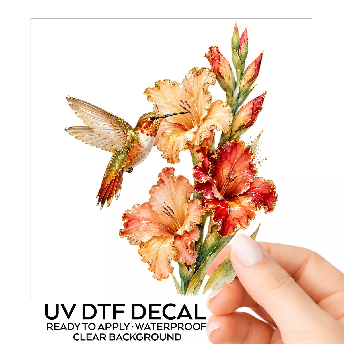 Hummingbird Peach Gladiolus UV DTF sticker on its backing card, held in hand