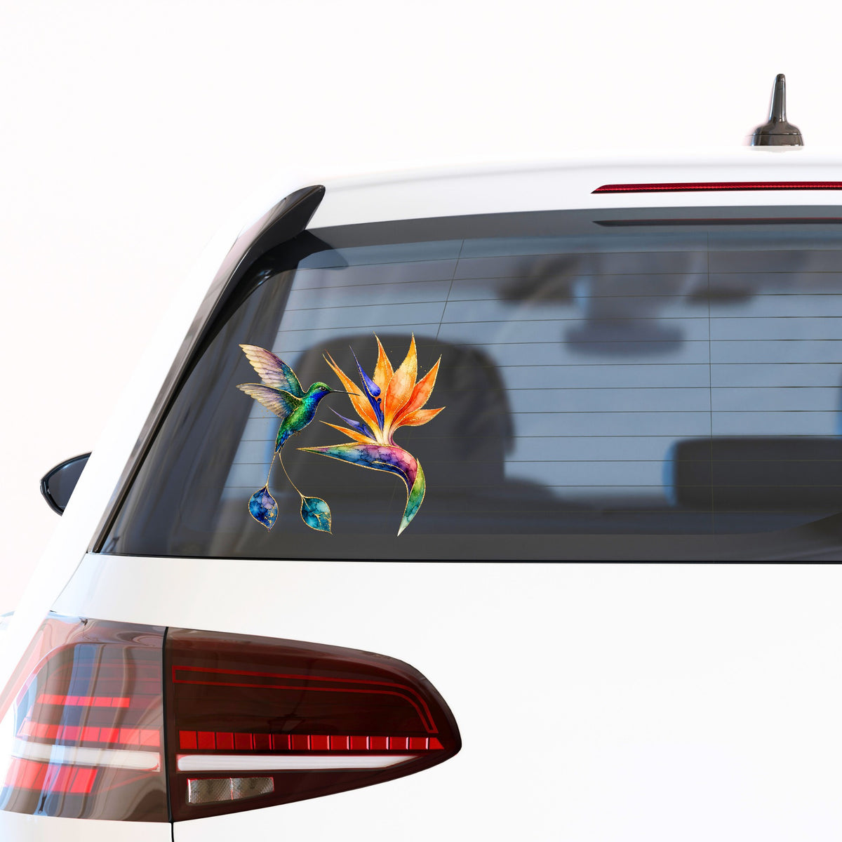 Hummingbird Bird Of Paradise Flower UV DTF sticker applied to the rear window of a white car
