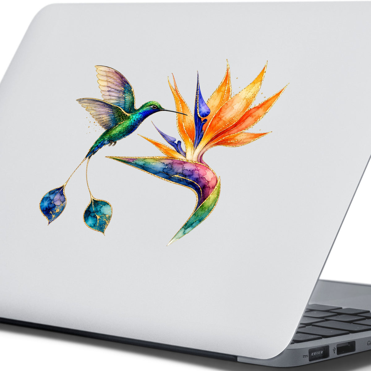 Hummingbird Bird Of Paradise Flower UV DTF sticker applied to the lid of a silver laptop