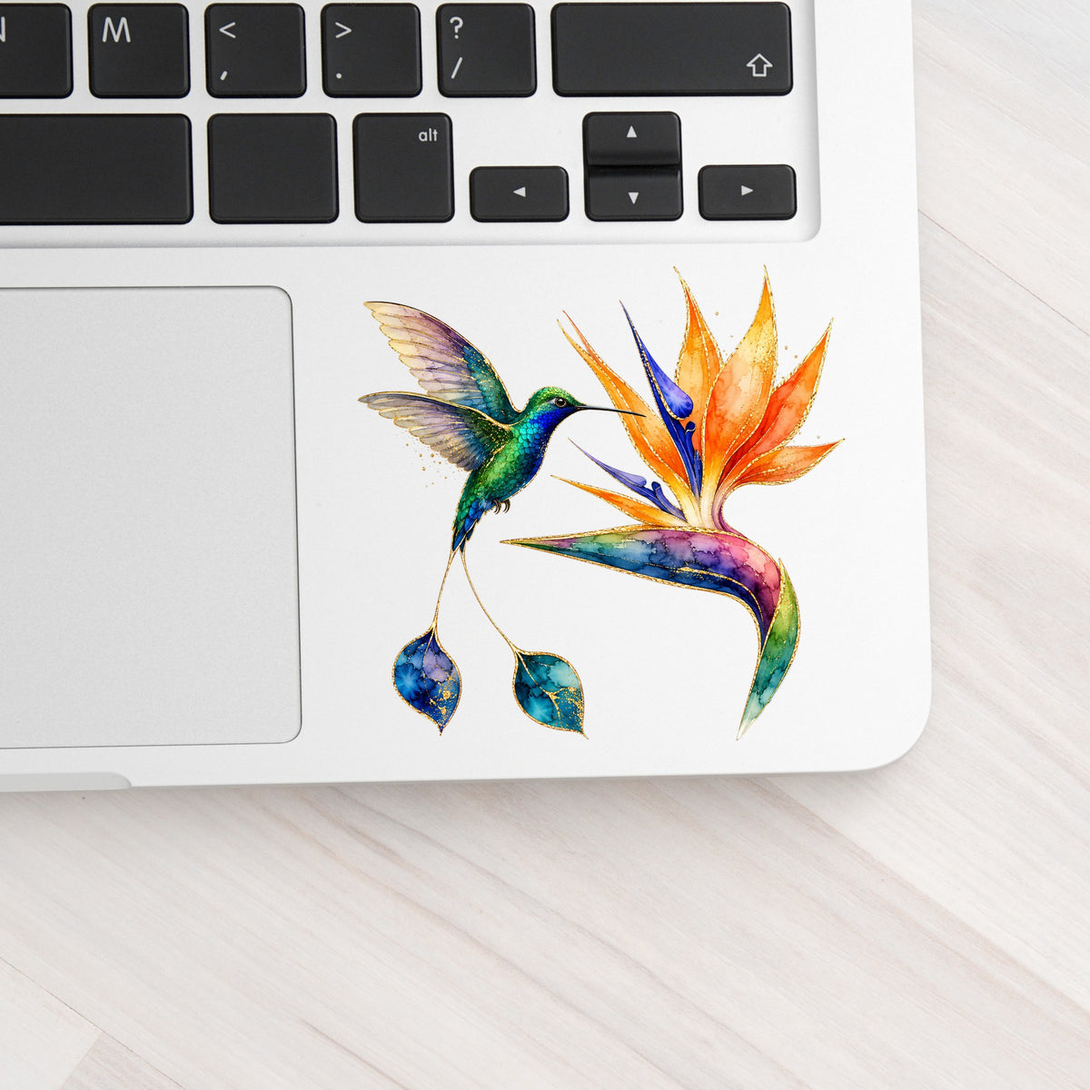 Hummingbird Bird Of Paradise Flower UV DTF sticker applied to a silver laptop beside the keyboard