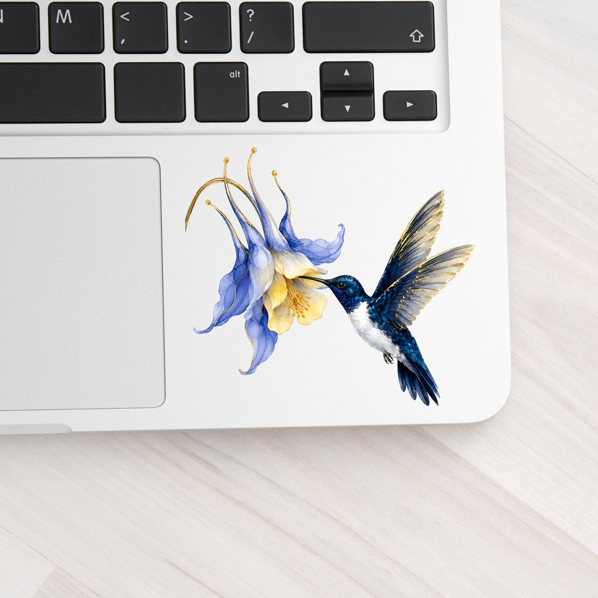Navy Hummingbird Blue Columbine UV DTF sticker applied to a silver laptop beside the keyboard