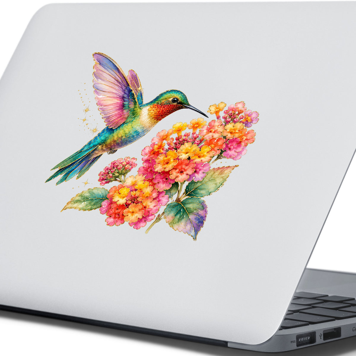 Rainbow Hummingbird Lantana UV DTF sticker applied to the lid of a silver laptop