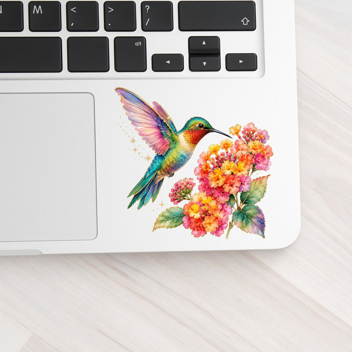 Rainbow Hummingbird Lantana UV DTF sticker applied to a silver laptop beside the keyboard