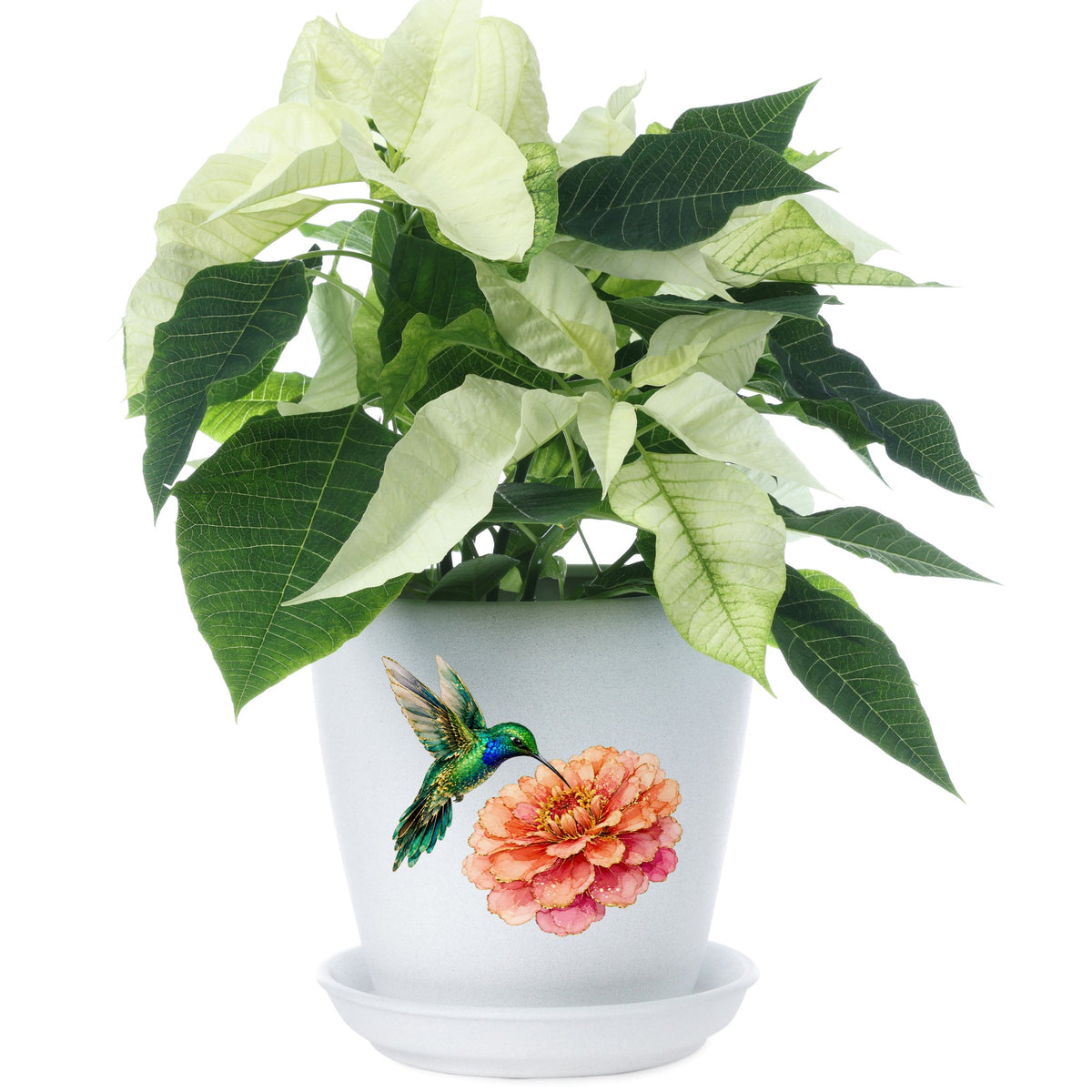 Hummingbird Coral Zinnia UV DTF sticker applied to a white flower pot