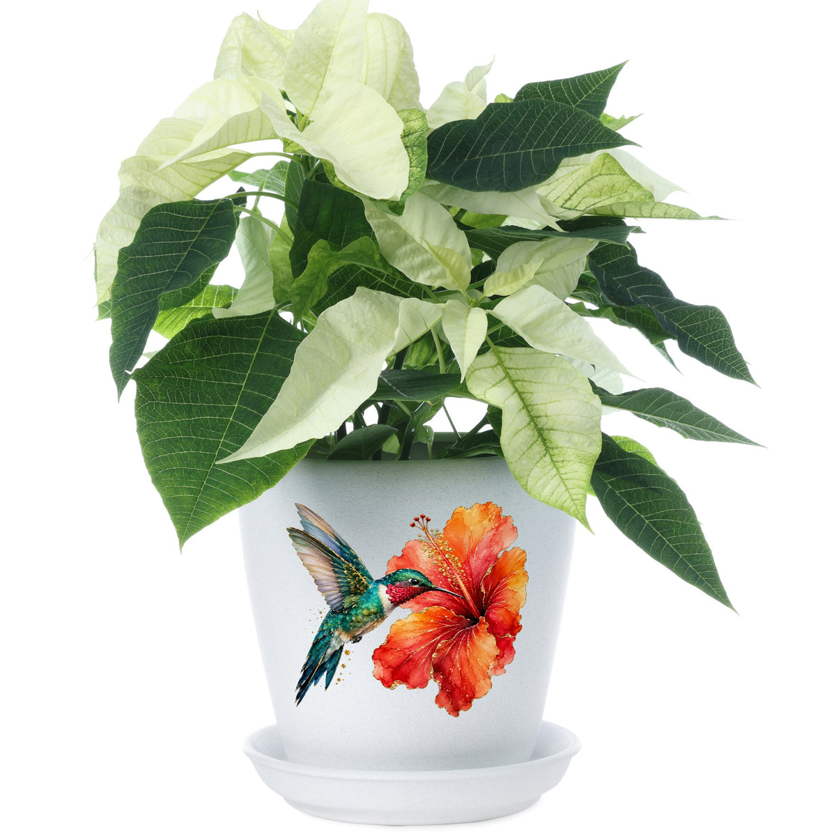Hummingbird Red Hibiscus UV DTF sticker applied to a white flower pot