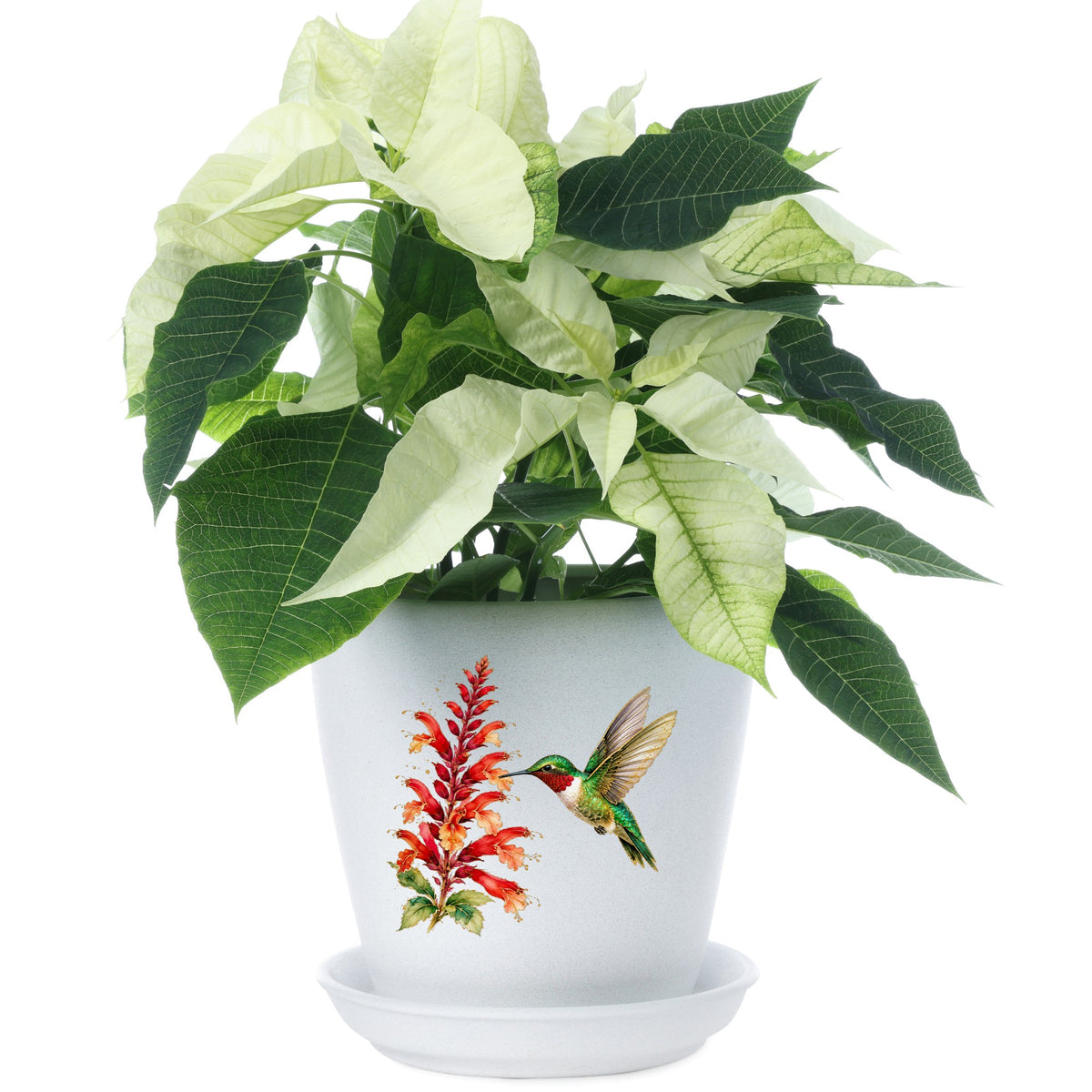 Hummingbird Red Salvia UV DTF sticker applied to a white flower pot