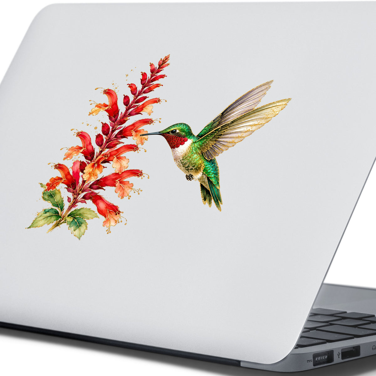 Hummingbird Red Salvia UV DTF sticker applied to the lid of a silver laptop