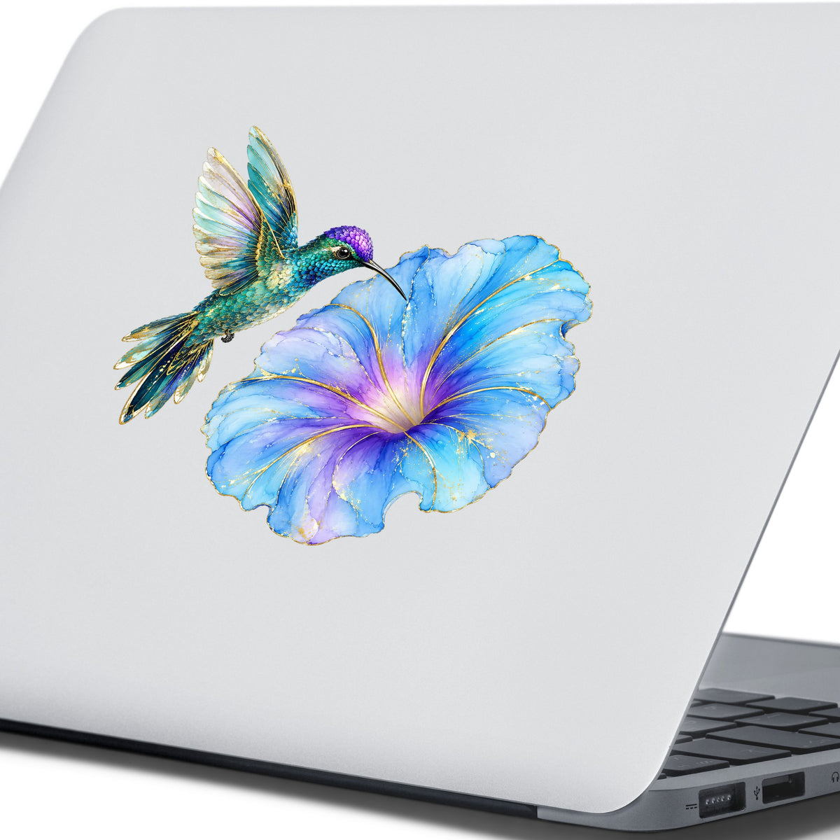Teal Hummingbird Blue Morning Glory UV DTF sticker applied to the lid of a silver laptop