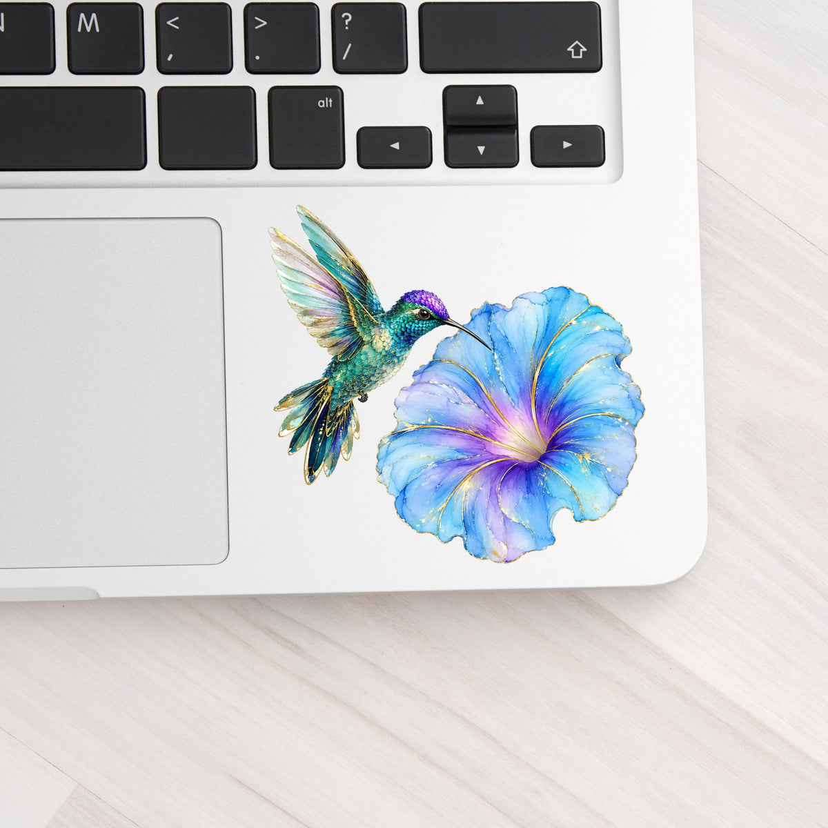 Teal Hummingbird Blue Morning Glory UV DTF sticker applied to a silver laptop beside the keyboard
