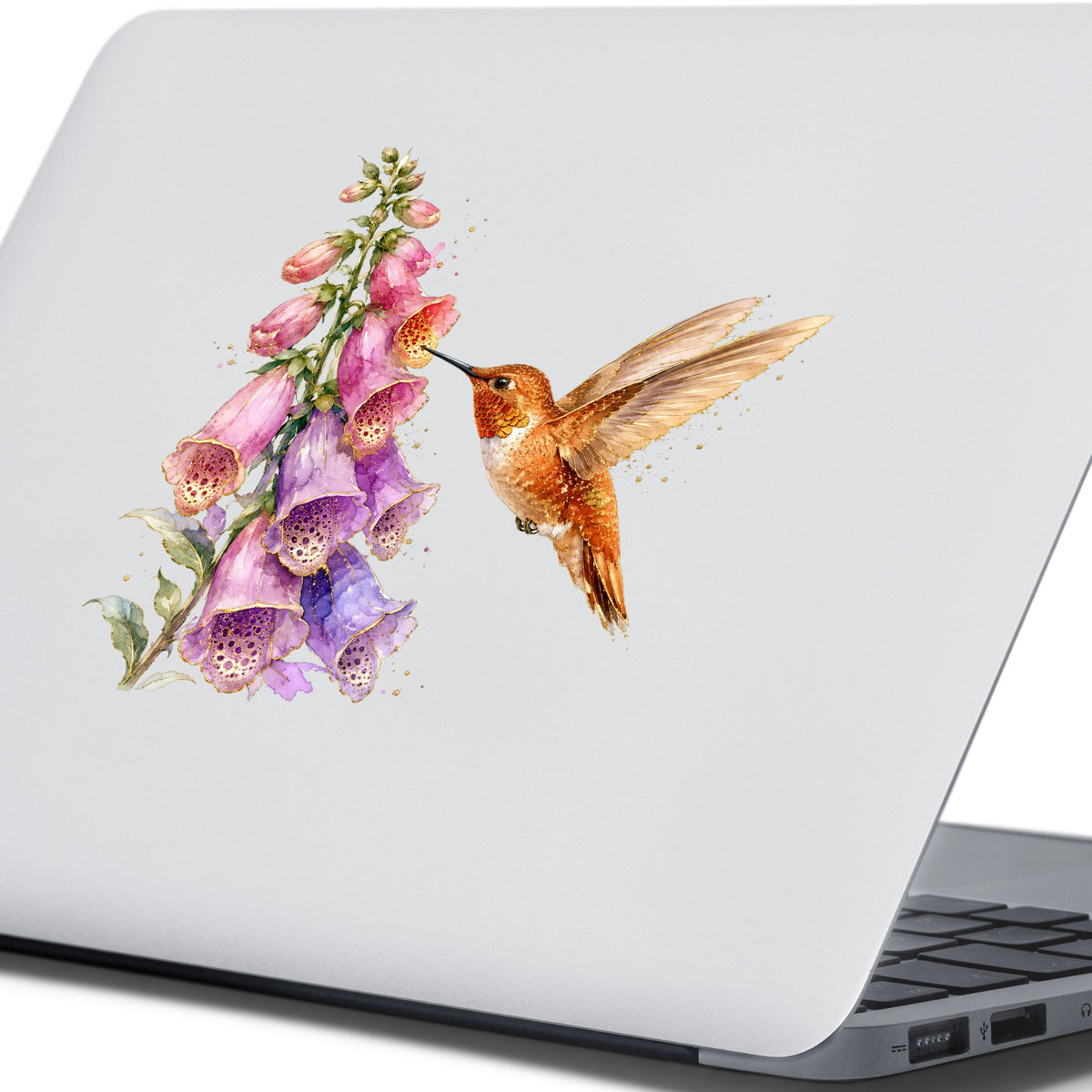 Rufous Hummingbird Pink Foxglove UV DTF sticker applied to the lid of a silver laptop