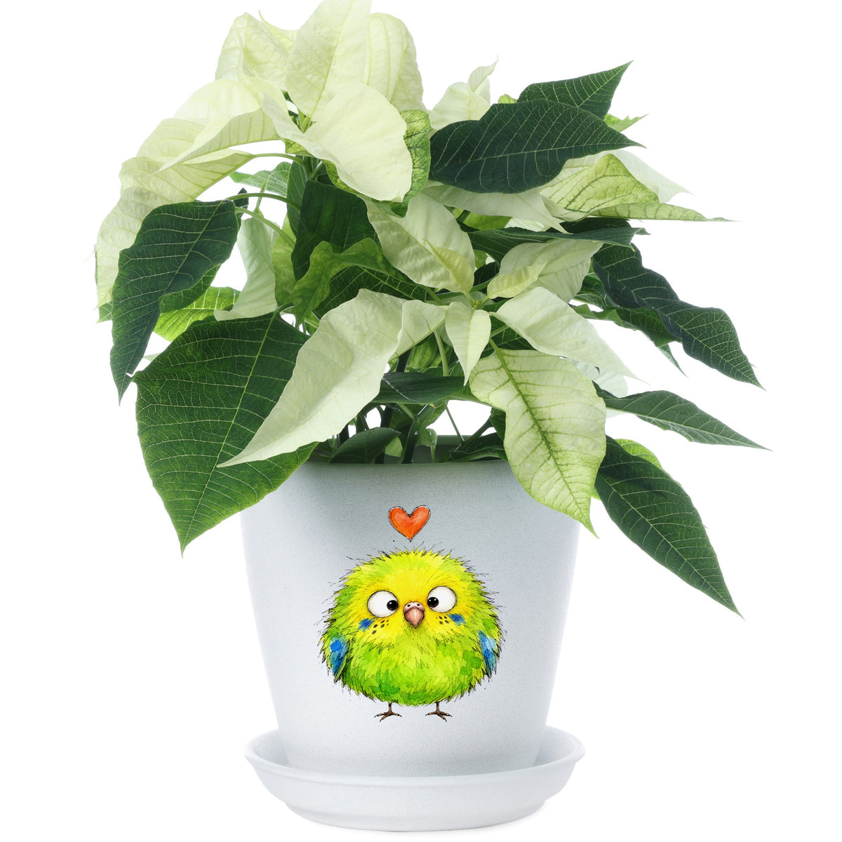 Fluffy Green Parakeet UV DTF sticker applied to a white flower pot