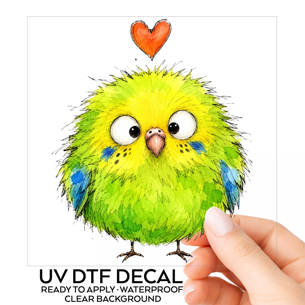 Fluffy Green Parakeet UV DTF sticker on its backing card, held in hand