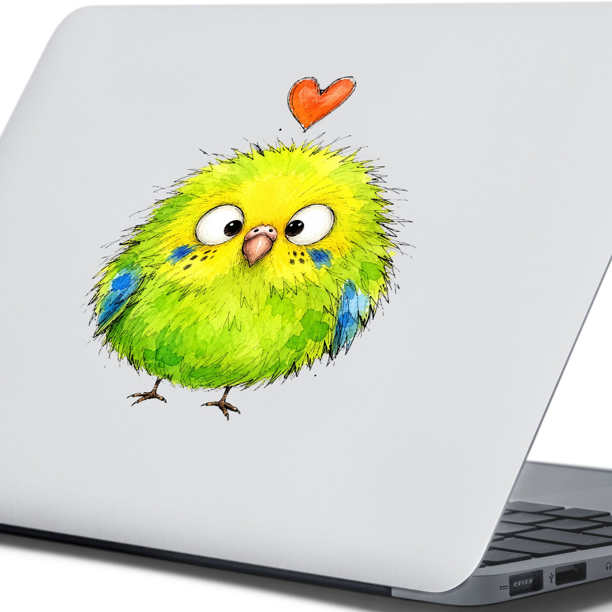 Fluffy Green Parakeet UV DTF sticker applied to the lid of a silver laptop