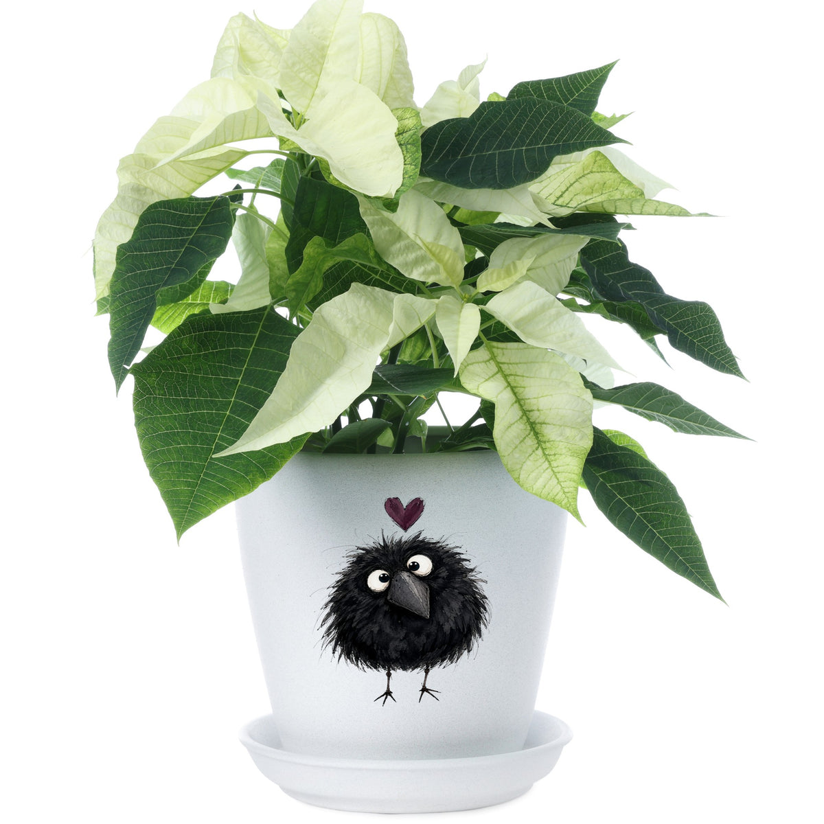 Fluffy Black Crow UV DTF sticker applied to a white flower pot