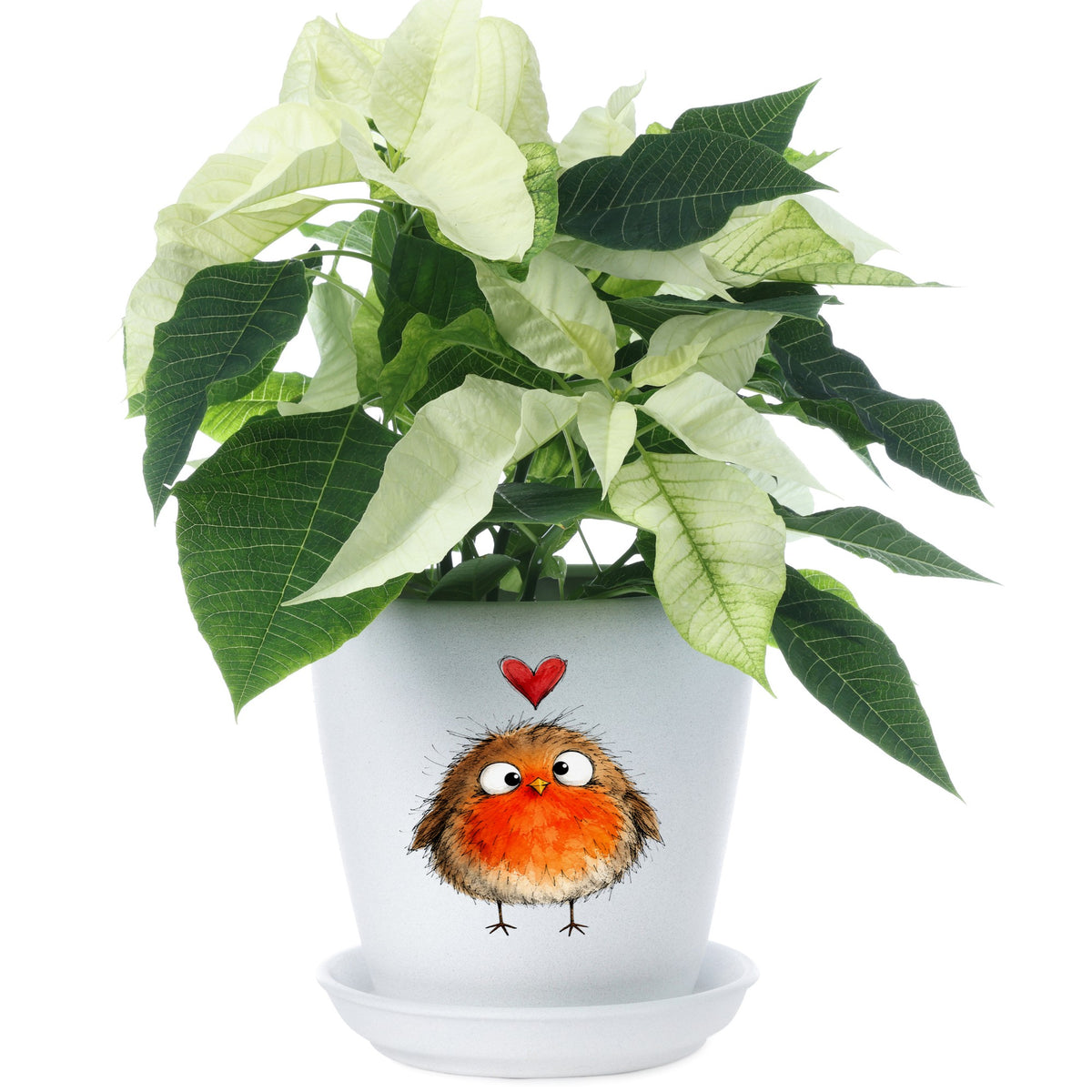 Fluffy Robin UV DTF sticker applied to a white flower pot