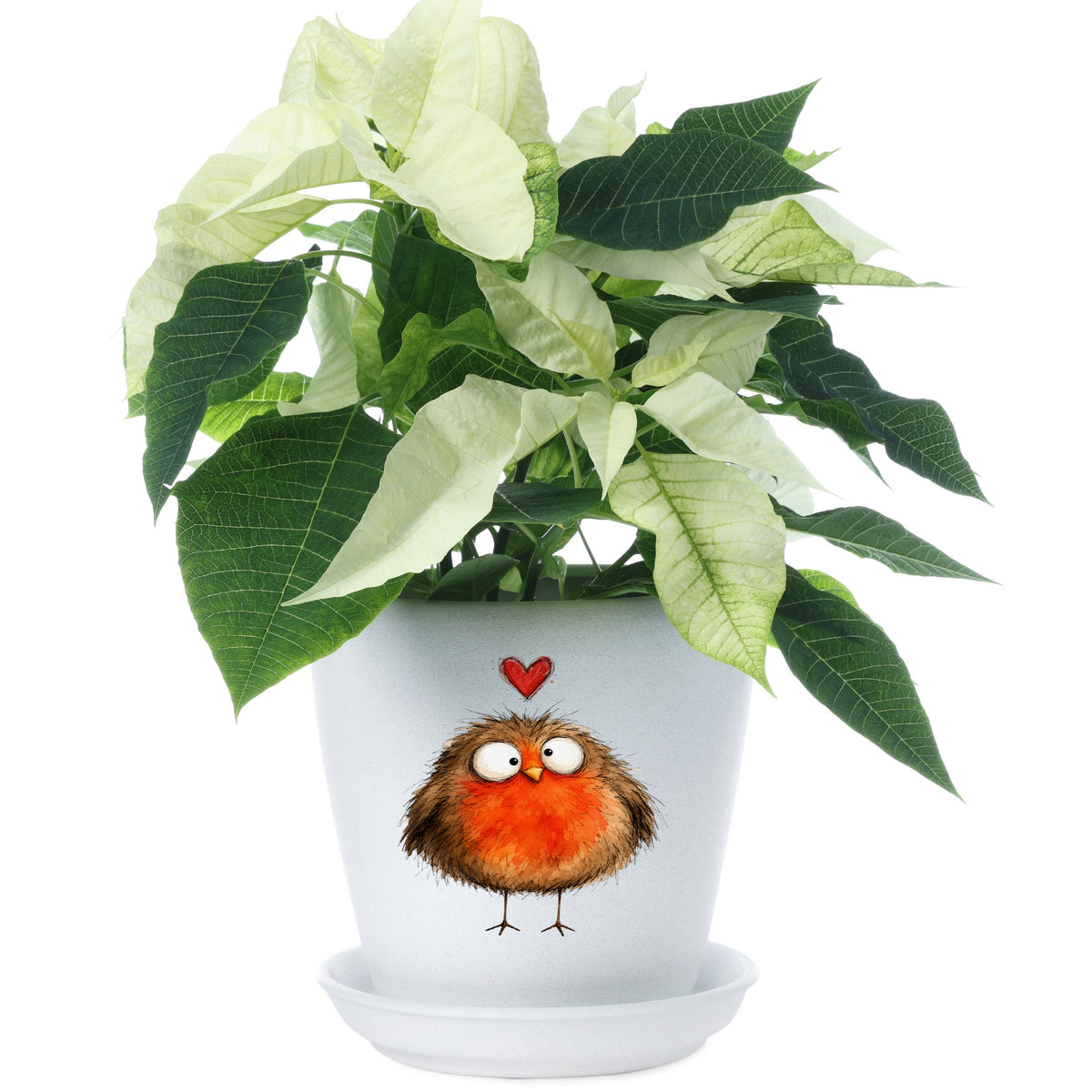 Round Robin Bird UV DTF sticker applied to a white flower pot