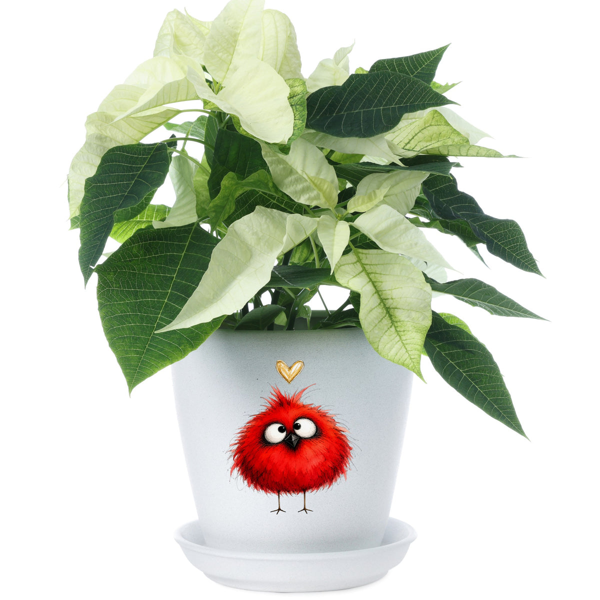 Funny Red Cardinal UV DTF sticker applied to a white flower pot