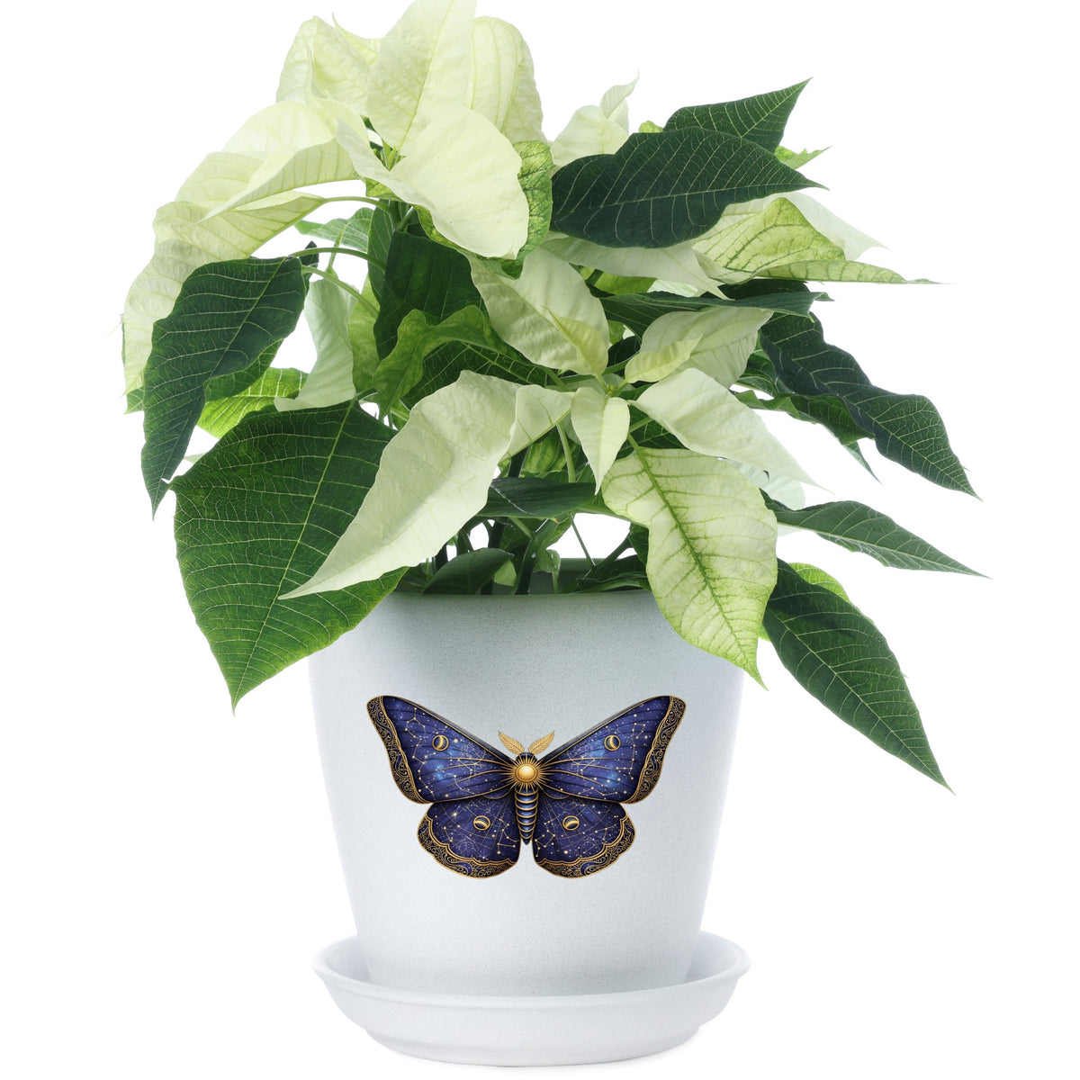 Navy Constellation Moth UV DTF sticker applied to a white flower pot