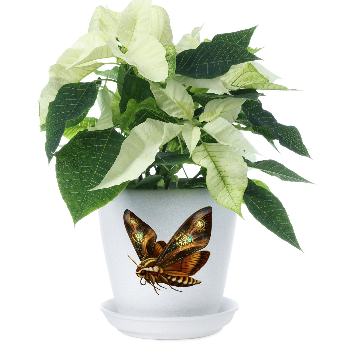 Brown Hawk Moth Glowing Runes UV DTF sticker applied to a white flower pot