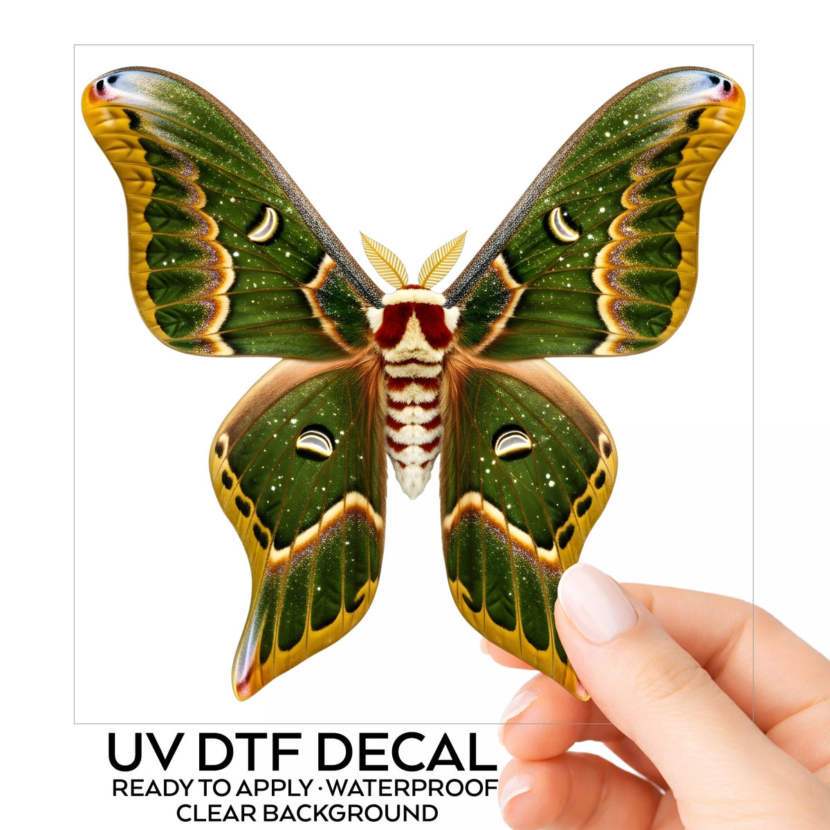Olive Green Moth UV DTF sticker on its backing card, held in hand