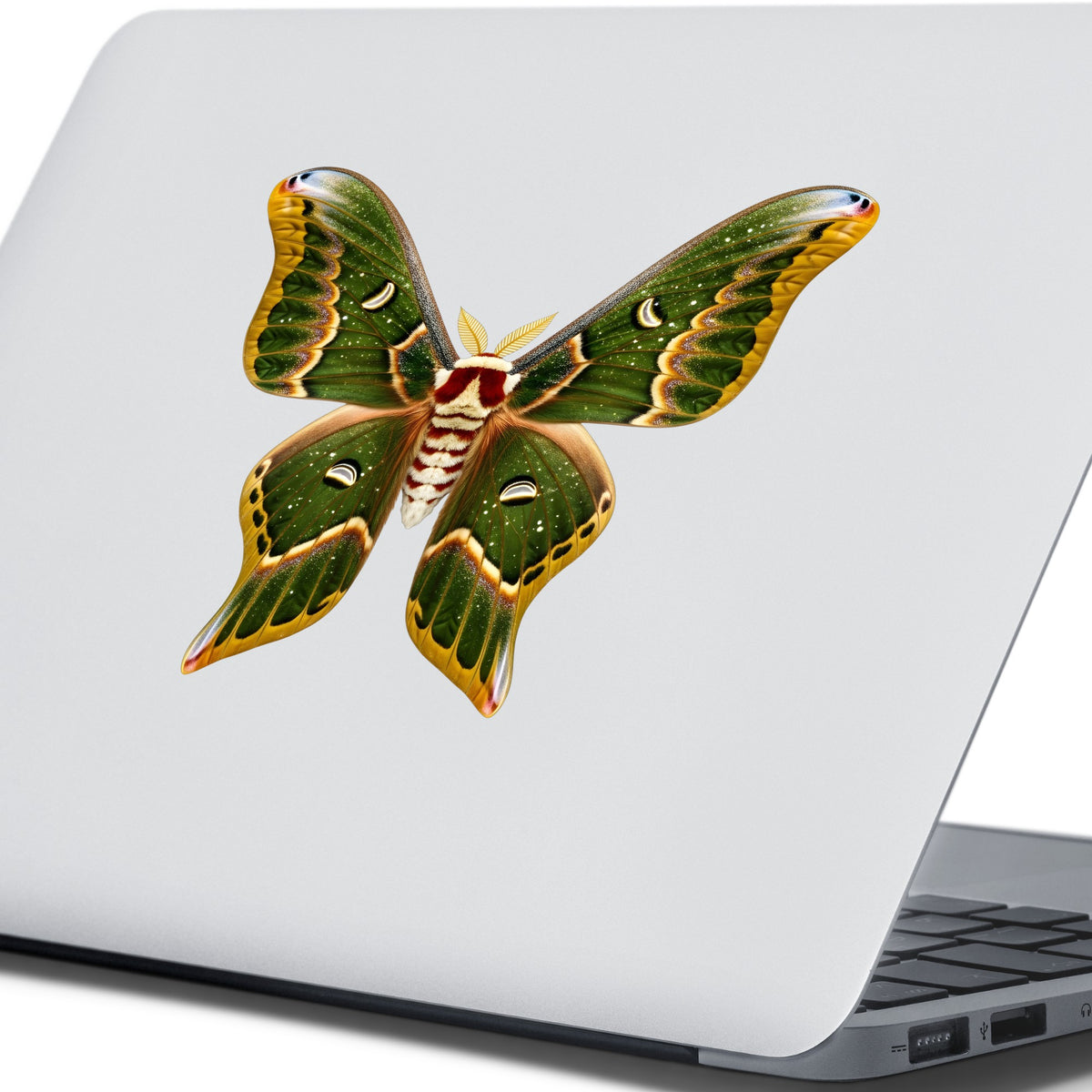 Olive Green Moth UV DTF sticker applied to the lid of a silver laptop