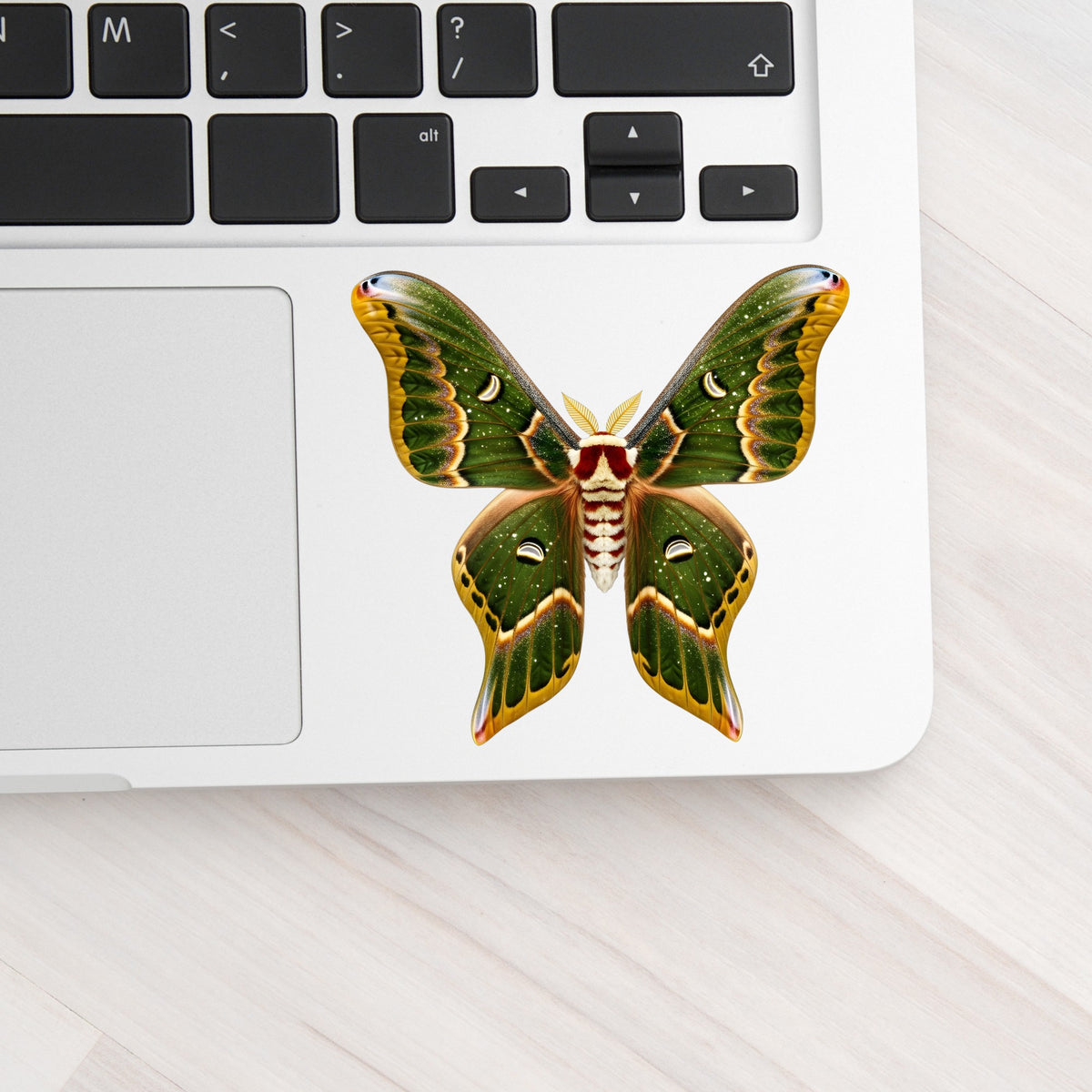 Olive Green Moth UV DTF sticker applied to a silver laptop beside the keyboard
