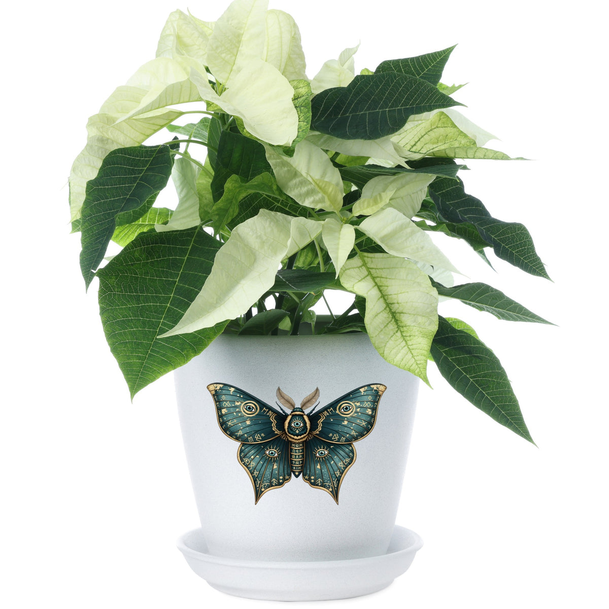 Teal Rune Moth All Seeing Eye UV DTF sticker applied to a white flower pot