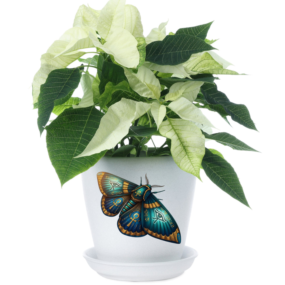 Egyptian Eye Of Horus Moth UV DTF sticker applied to a white flower pot