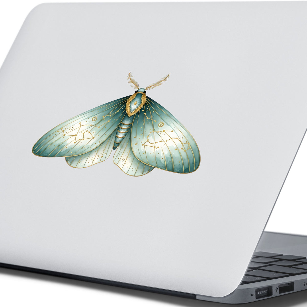 Mint Watercolor Moth UV DTF sticker applied to the lid of a silver laptop
