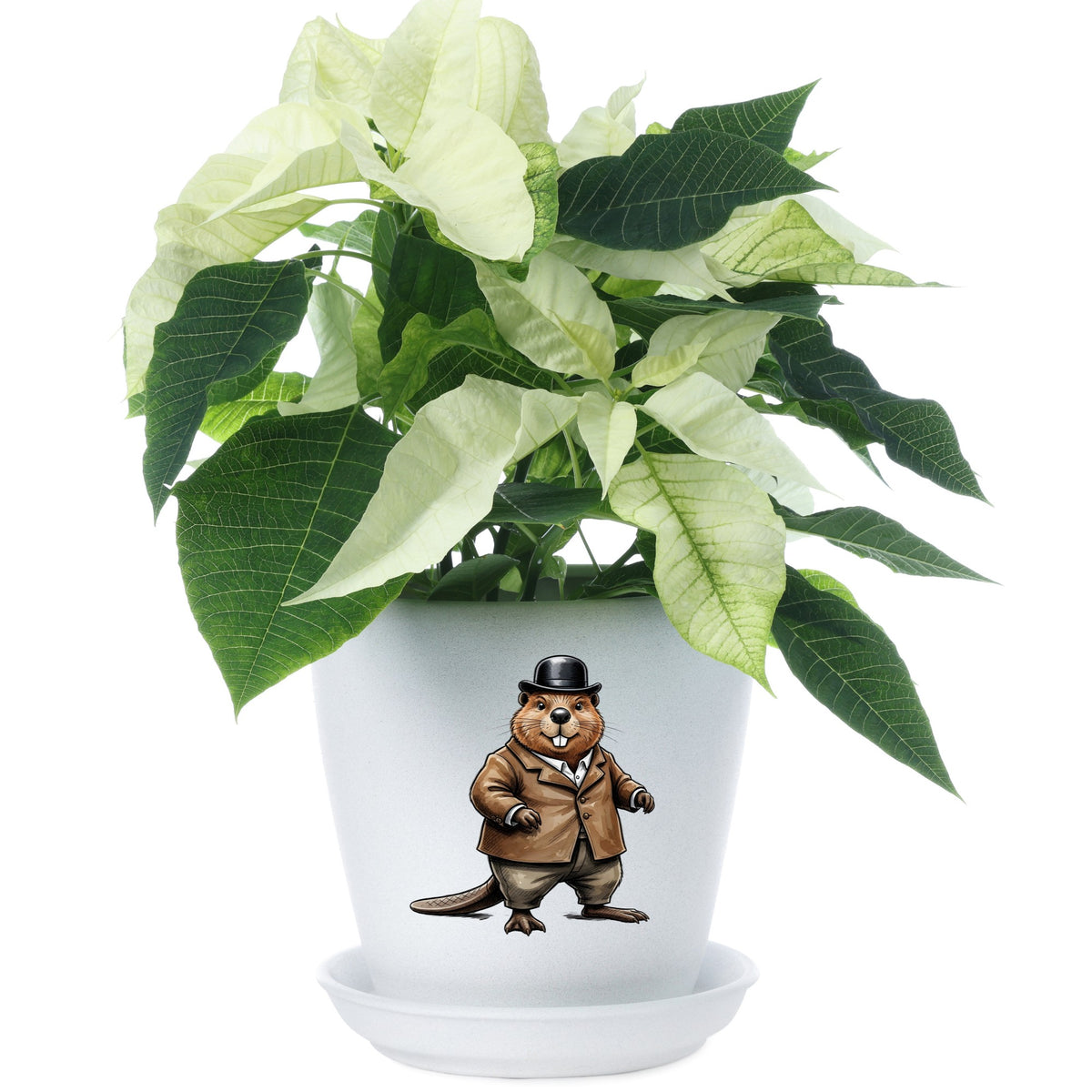 Beaver In Bowler Hat UV DTF sticker applied to a white flower pot