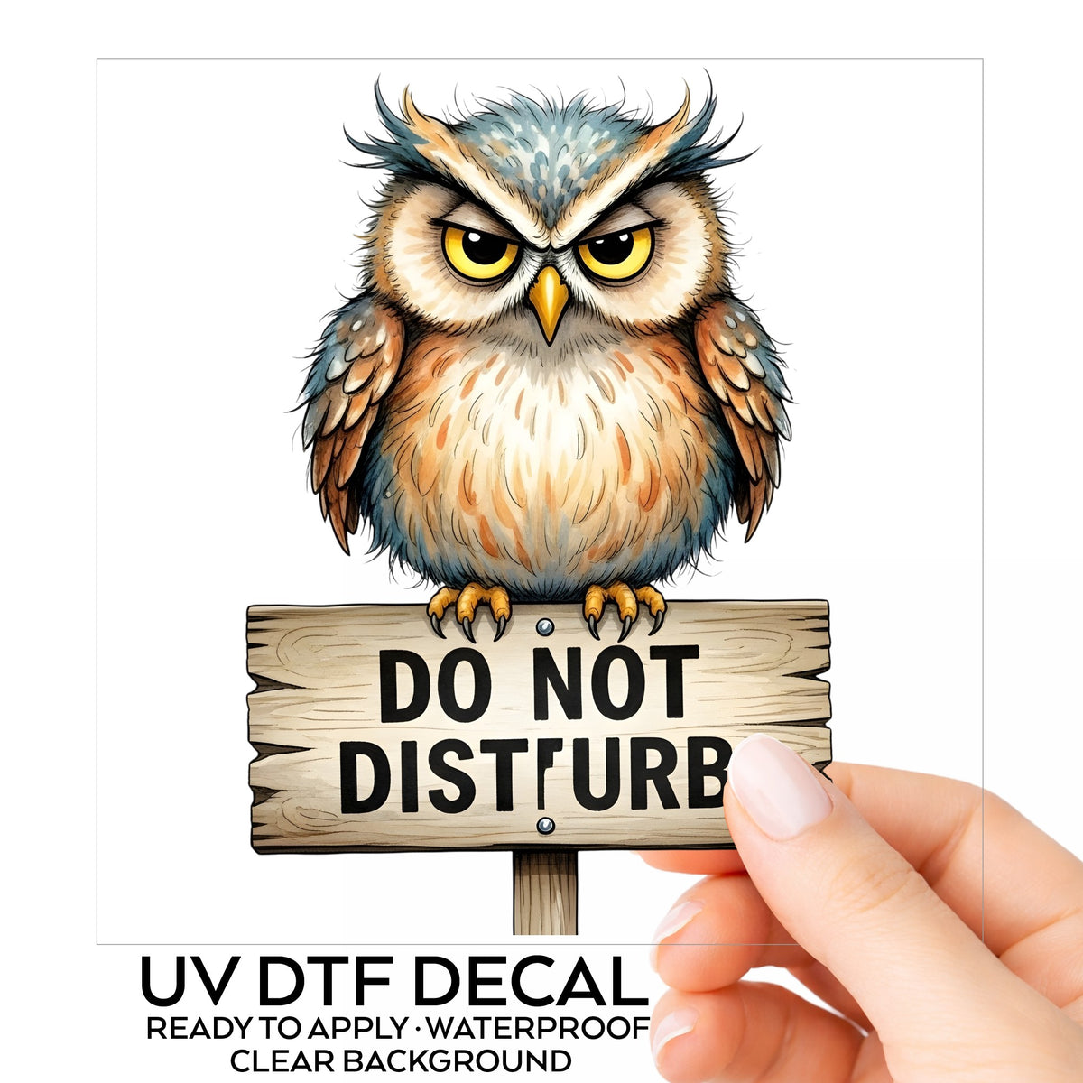 Grumpy Owl Do Not Disturb Sign UV DTF sticker on its backing card, held in hand