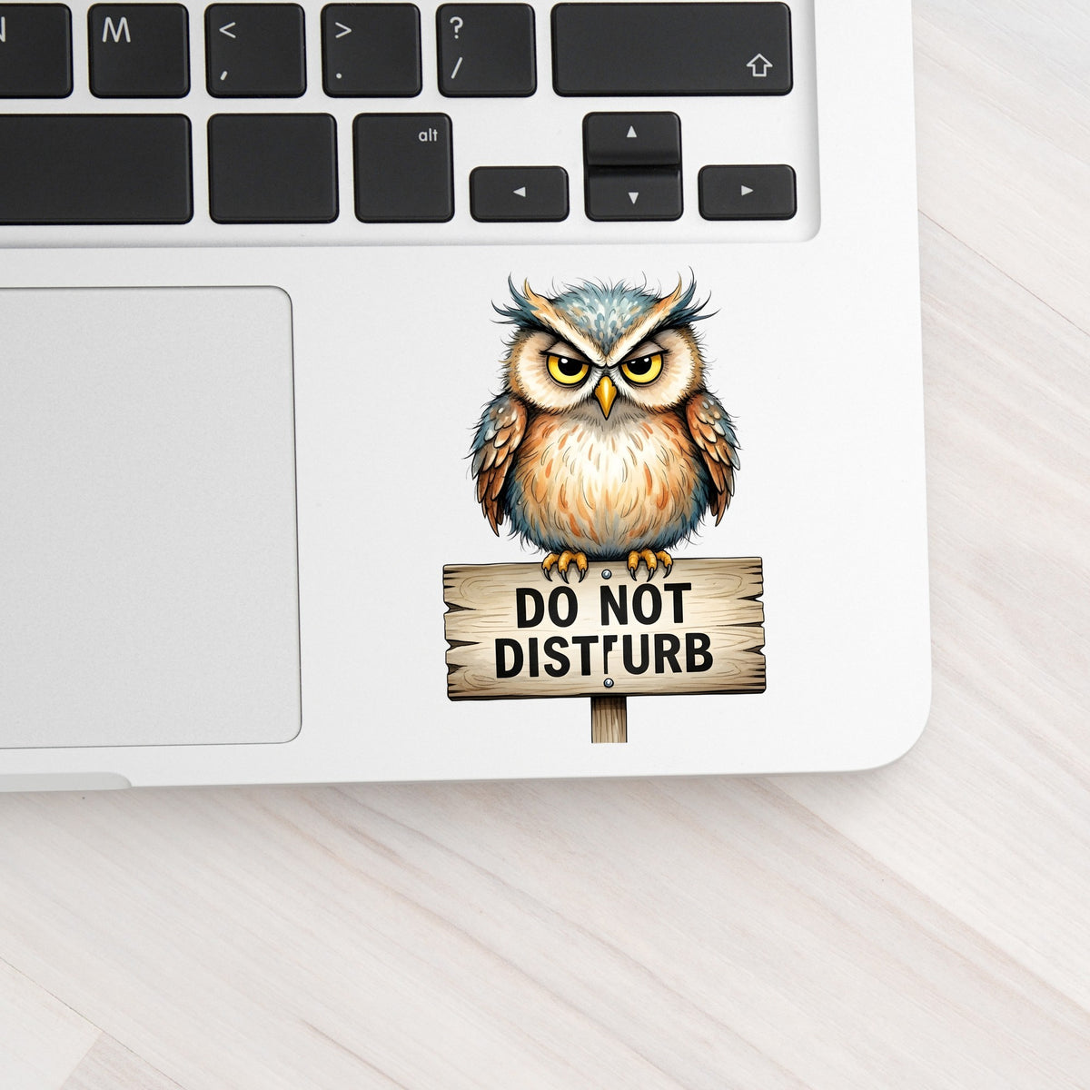 Grumpy Owl Do Not Disturb Sign UV DTF sticker applied to a silver laptop beside the keyboard