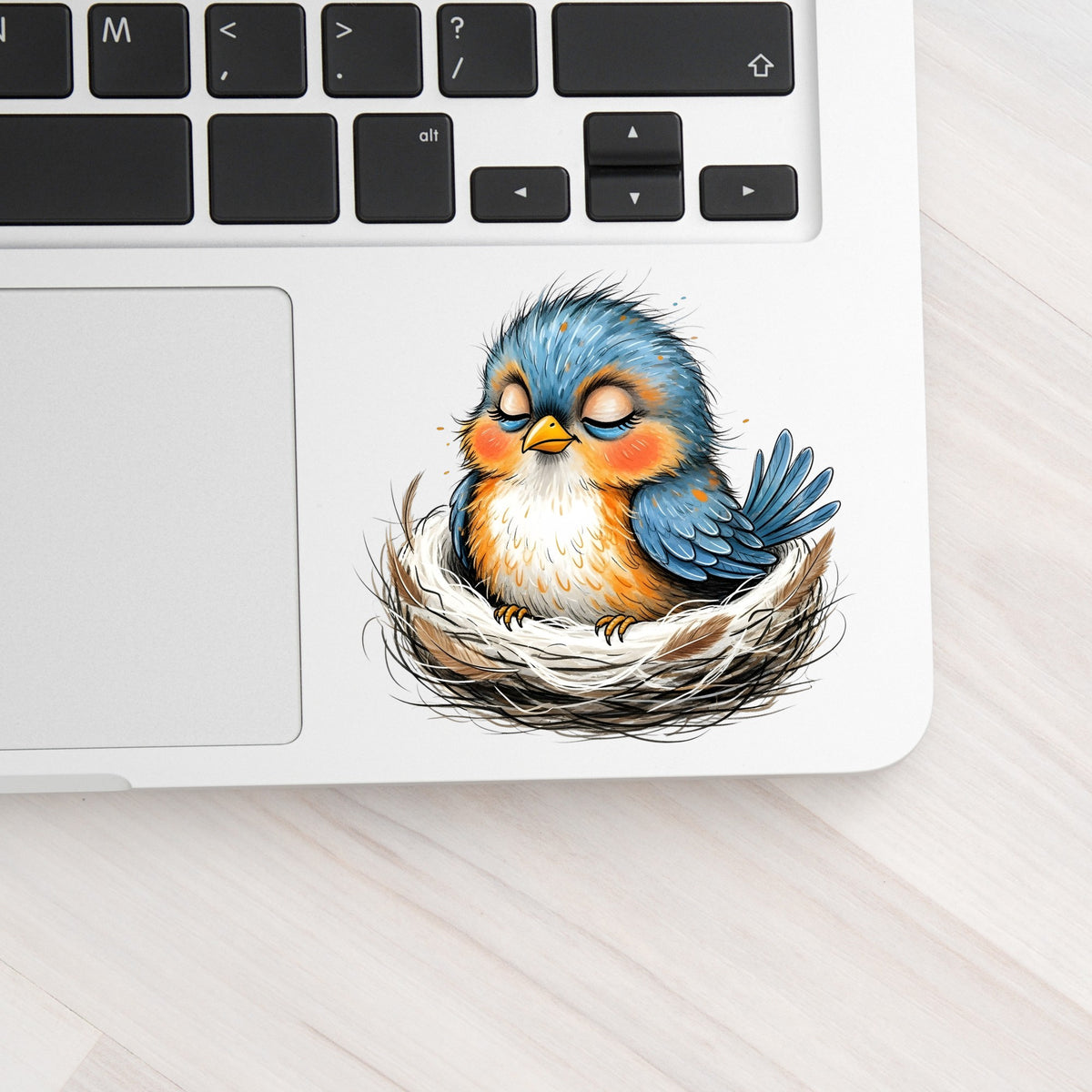 Sleeping Bird In Nest UV DTF sticker applied to a silver laptop beside the keyboard