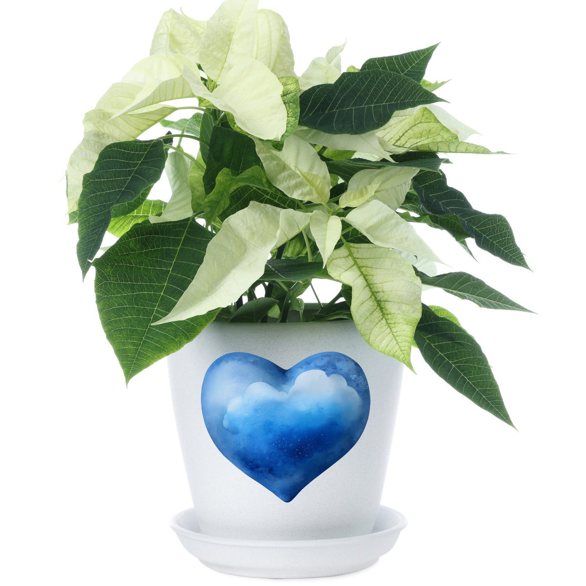 Blue Watercolor Heart With Clouds UV DTF sticker applied to a white flower pot